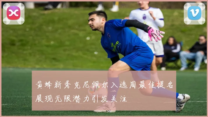 黄蜂新秀克尼佩尔入选周最佳提名展现无限潜力引发关注